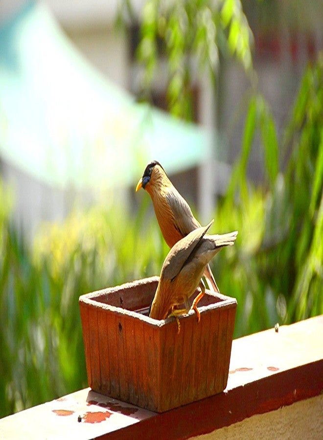 Shriyam Craft Earthen Pot Terracotta Bird Bath, Earth Brown (9X9-Inch) - Image 2